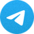Telegram纸飞机指南网站Logo - 页脚版本